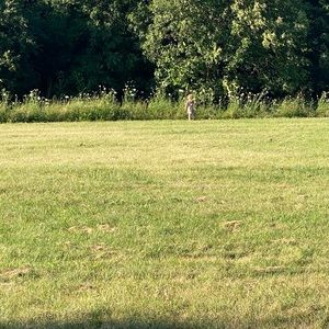 Meet your Posher, Cara